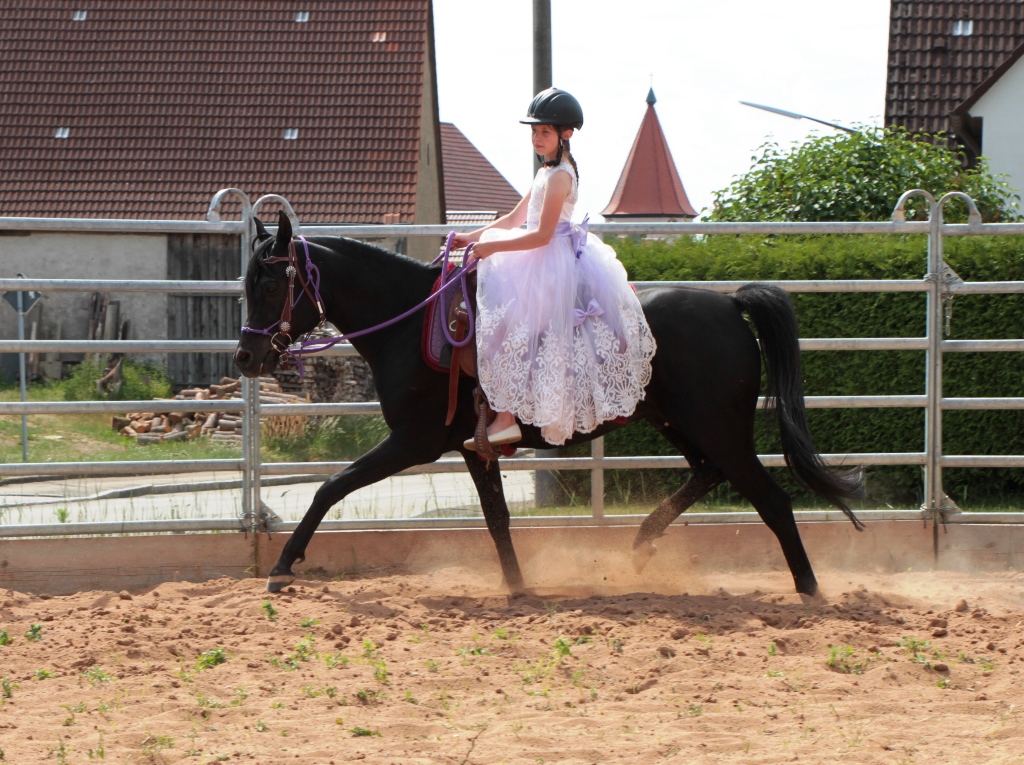 Kamyar Sophie 5