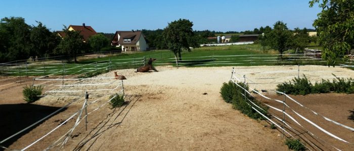 Koppel-700x300