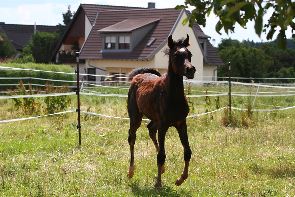 Nayla 23.06.19 Nr 30