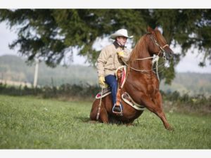 Western