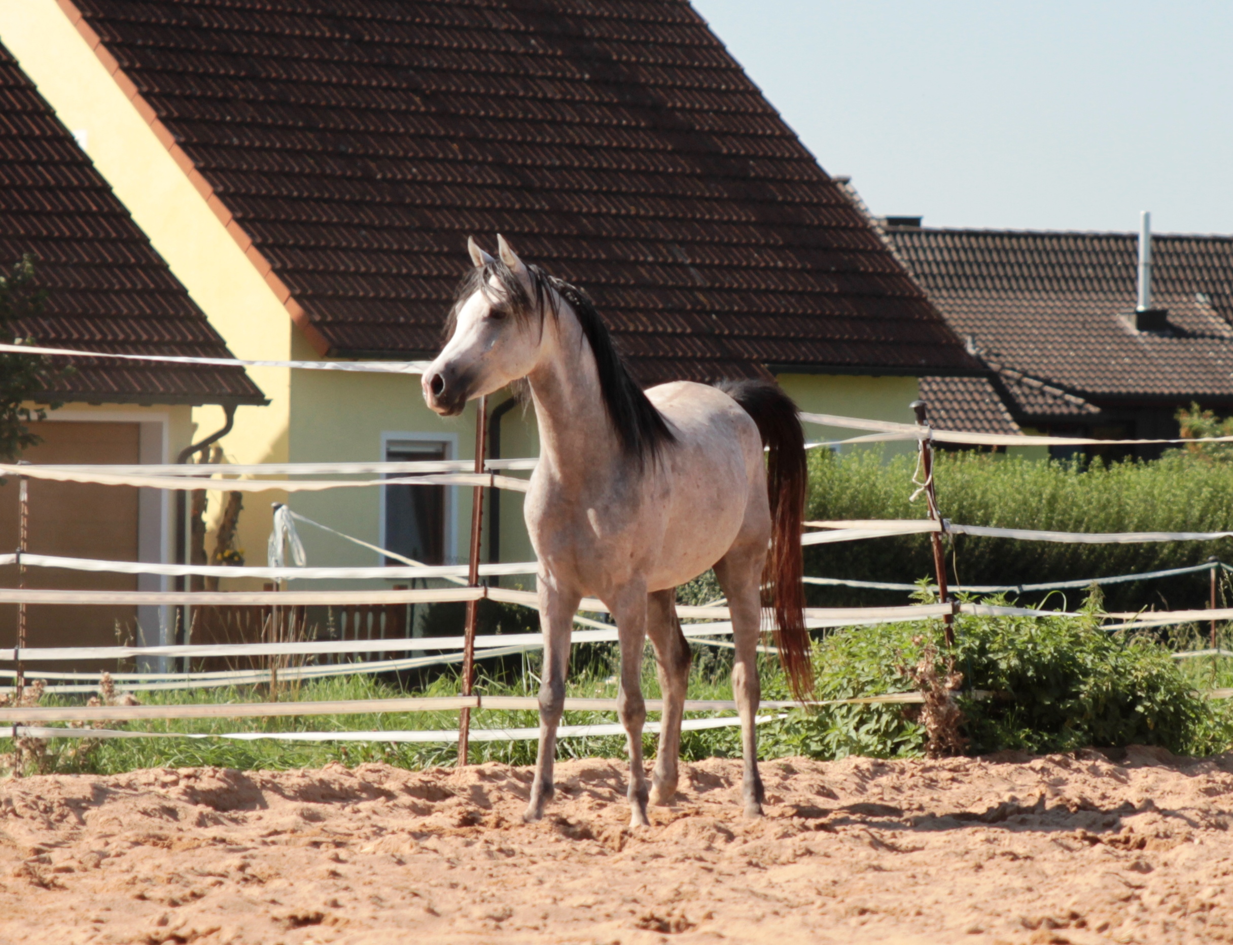 evIMG_1091