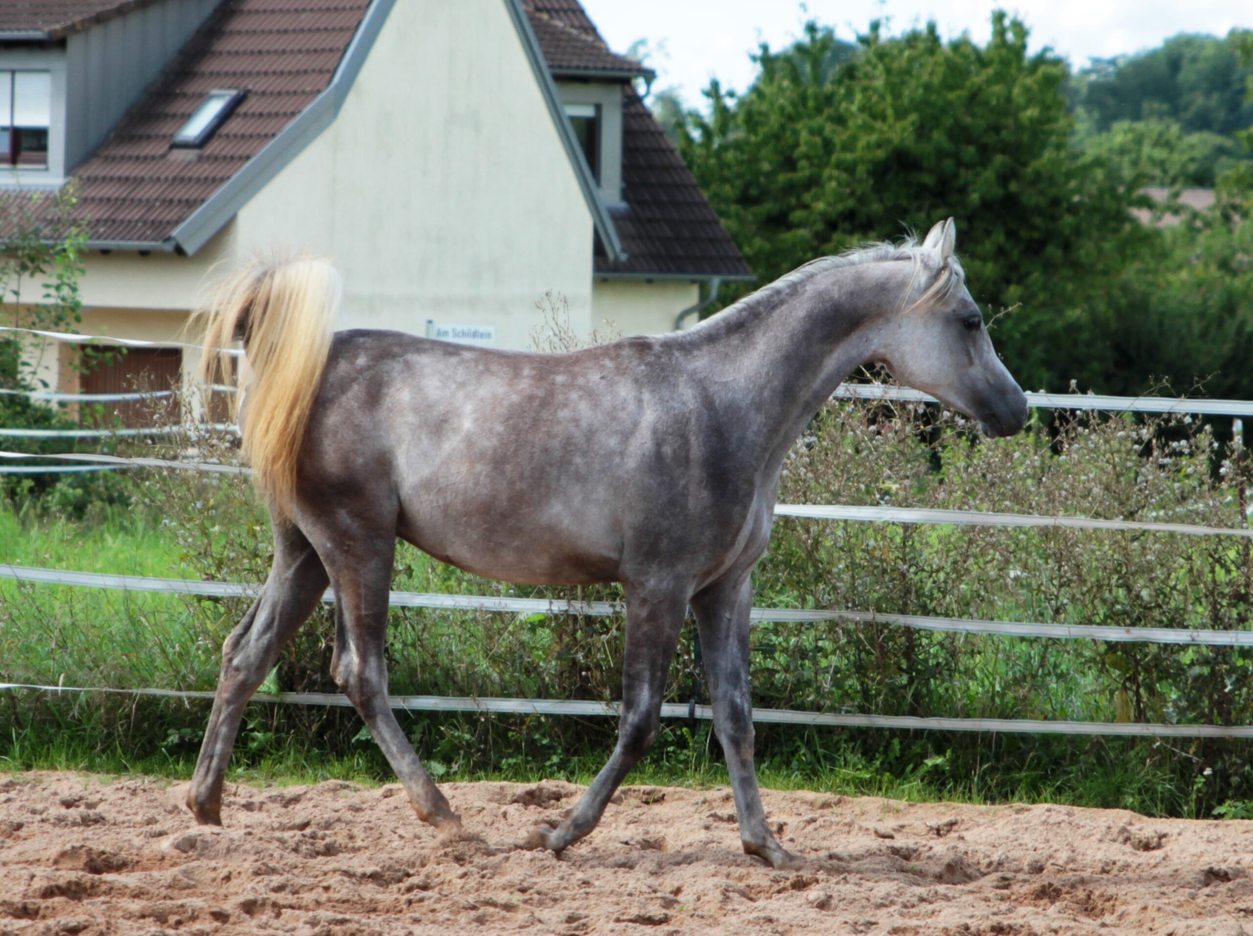 jaIMG_0925 neuja