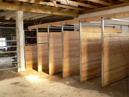 stallhomep 096
